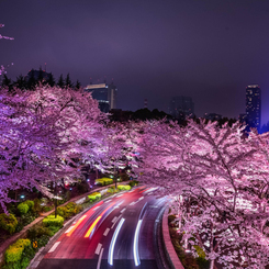 三年前の東京ミッドタウン