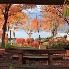 紅葉の一服