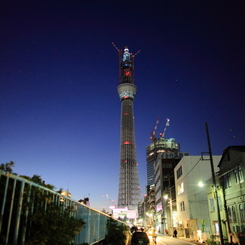 冬の巨塔