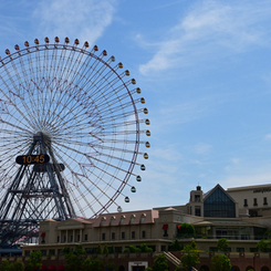 DSC_0787_00001