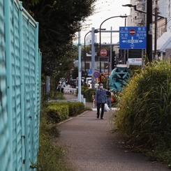 日暮れの散歩道 －１