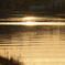 DSC00590