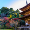 西明寺の紅葉
