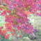 津久井湖城山公園2