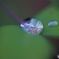 水滴