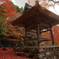 秋、東光寺
