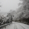 雪道