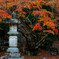 白鹿背山巨徳院 東光寺1