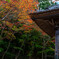 白鹿背山巨徳院 東光寺3