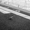 電車待ち