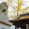 大分の阿蘇神社