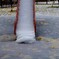 冠雪