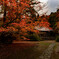 紅葉の寺院