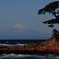 富士山と松