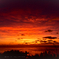 Sunset Lovers