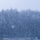 雪