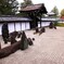 枯山水の庭に彩りを添える紅葉