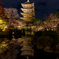 Autumn color`s Kyoto 2020 東寺