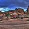 Joshua Tree National Park