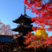 真如堂の紅葉