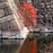 お堀の紅葉　DSC00002zz