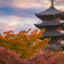 夕景の東寺