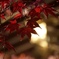 京都  長岡天満宮  紅葉
