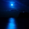 蒼夜
