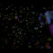 Ume Universe 