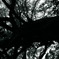 R0010420