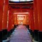 千本鳥居