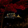 2020　北野天満宮　