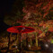 紅葉谷ライトアップ