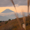 伊豆スカイラインから望む富士山