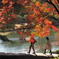 紅葉の橋の上で
