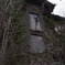 草まみれの家
