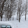 北海道の風景