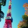 東京タワー