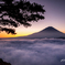 暁の情景