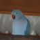DSC02008