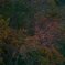 IMG_20201207_031718