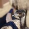 IMG_20201207_031603