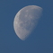１２月の朝の月