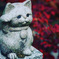 猫紅葉