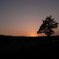 R0010340