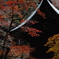 渡る　その93