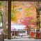 紅葉の社