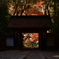 晩秋の香積寺
