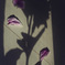 74D12763-B0CD-4AD7-82EC-ED80FC822CEC