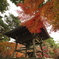 紅葉と鐘　参